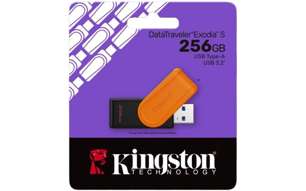 MEMORIA USB KINGSTON DATATRAVELER EXODIA S 256GB 3.2 GEN 1 TAPA GIRATORIA - Kingston Technology