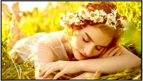 Monitor Profesional LG 55 pulgadas 55UL5Q,  Resolución 3840x2160 UHD MONLGE3320