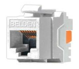 Conector Jack RJ45 CAT6  BELDEN AX101320, RJ-45, Blanco, Cat 6