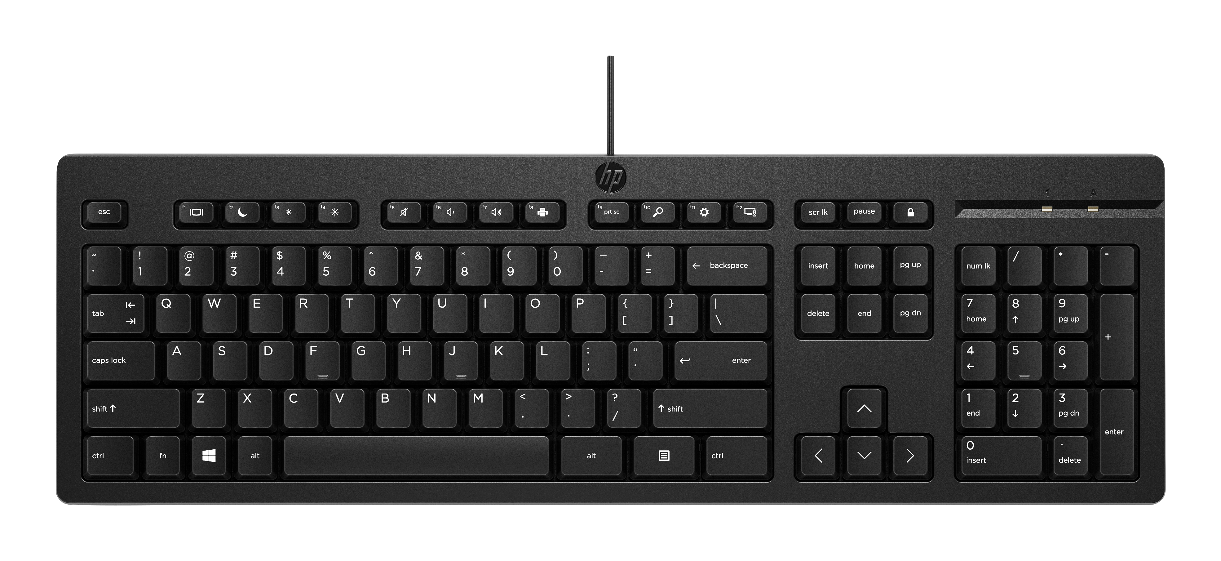 Teclado HP 125 (AY2Y7AA#ABM). Conectividad Plug and Play, Color Negro. ACCHPI3960